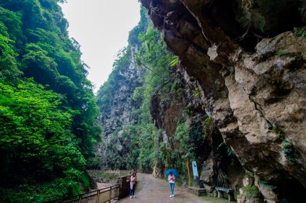 虫虫助手下载