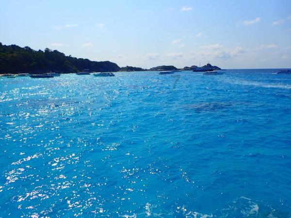 你的家乡立夏时有什么特色的风俗吗?-专业问答网站