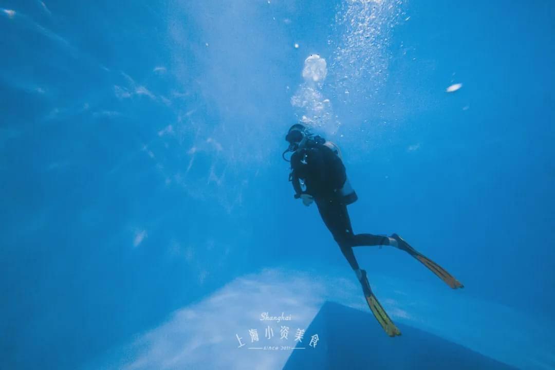 还呗人工客服电话是多少红迪网,全网最新最热话题平台