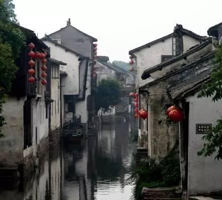 《三只小猪》的主要内容知识星球,深度探索专业领域,汲取灵感与思考